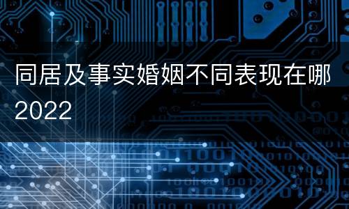 同居及事实婚姻不同表现在哪2022