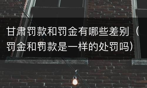甘肃罚款和罚金有哪些差别（罚金和罚款是一样的处罚吗）