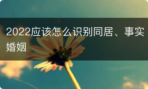 2022应该怎么识别同居、事实婚姻