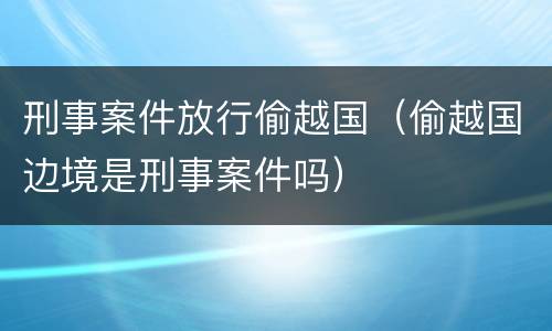刑事案件放行偷越国（偷越国边境是刑事案件吗）