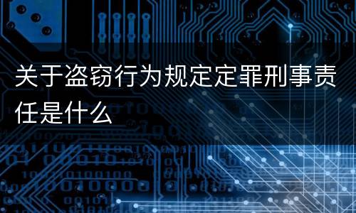关于盗窃行为规定定罪刑事责任是什么