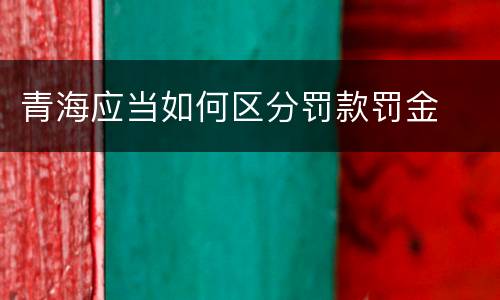 青海应当如何区分罚款罚金