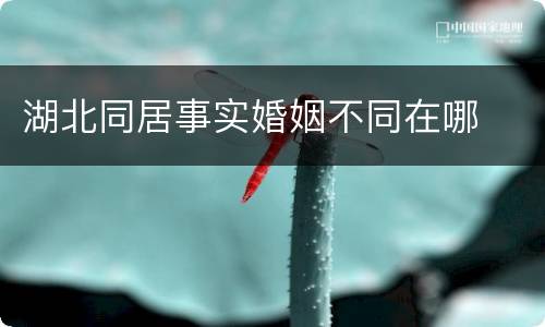 湖北同居事实婚姻不同在哪