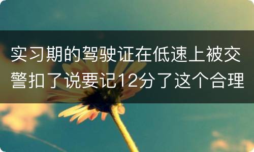 实习期的驾驶证在低速上被交警扣了说要记12分了这个合理吗