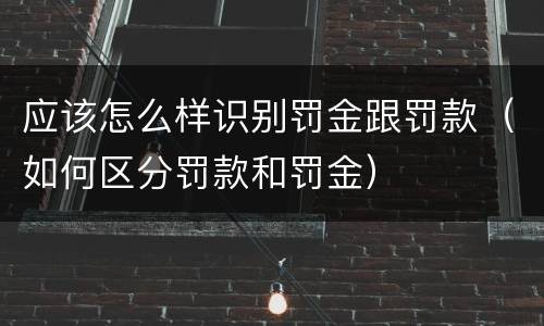 应该怎么样识别罚金跟罚款（如何区分罚款和罚金）