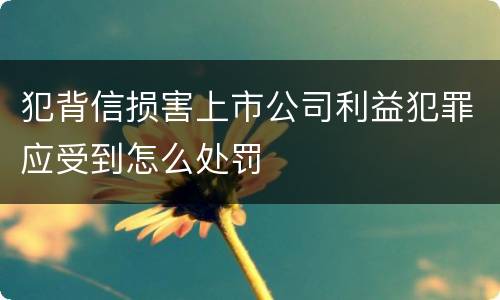 犯背信损害上市公司利益犯罪应受到怎么处罚