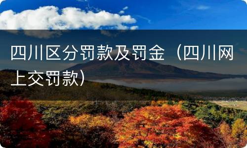 四川区分罚款及罚金（四川网上交罚款）