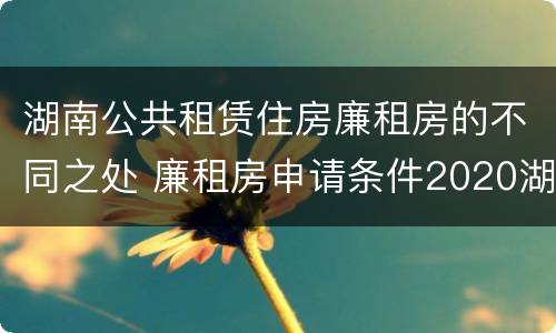 湖南公共租赁住房廉租房的不同之处 廉租房申请条件2020湖南