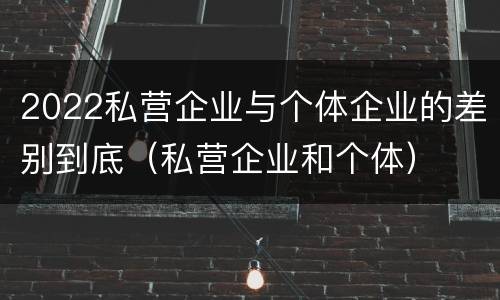 2022私营企业与个体企业的差别到底（私营企业和个体）