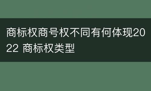 商标权商号权不同有何体现2022 商标权类型