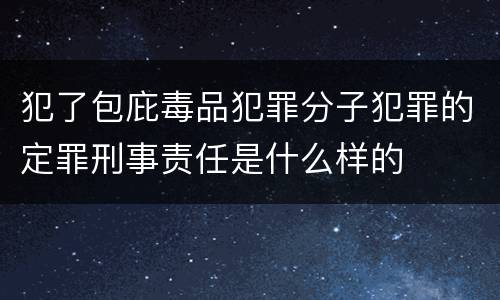 犯了包庇毒品犯罪分子犯罪的定罪刑事责任是什么样的