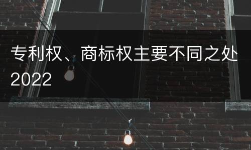 专利权、商标权主要不同之处2022
