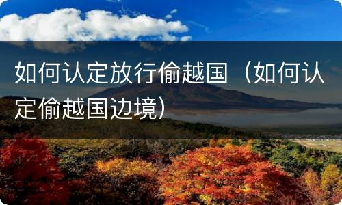 如何认定放行偷越国（如何认定偷越国边境）