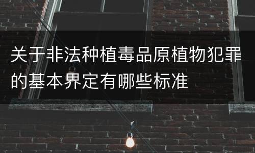 关于非法种植毒品原植物犯罪的基本界定有哪些标准
