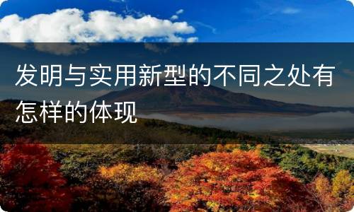 发明与实用新型的不同之处有怎样的体现