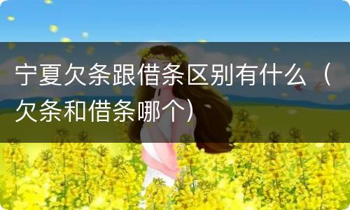 宁夏欠条跟借条区别有什么（欠条和借条哪个）