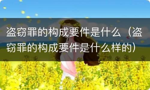 盗窃罪的构成要件是什么（盗窃罪的构成要件是什么样的）