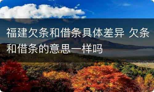 福建欠条和借条具体差异 欠条和借条的意思一样吗