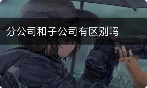 分公司和子公司有区别吗