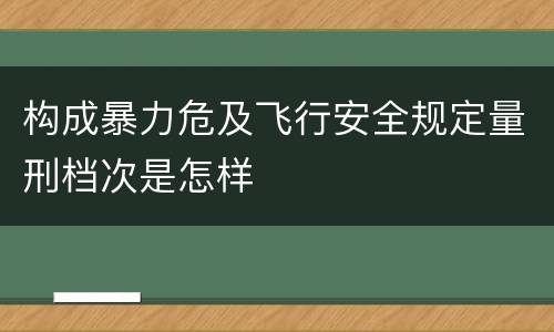 构成暴力危及飞行安全规定量刑档次是怎样