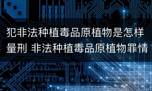 犯非法种植毒品原植物是怎样量刑 非法种植毒品原植物罪情节严重