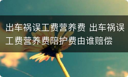 出车祸误工费营养费 出车祸误工费营养费陪护费由谁赔偿