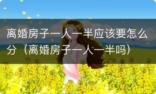 离婚房子一人一半应该要怎么分（离婚房子一人一半吗）