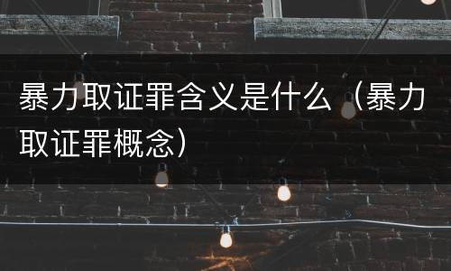 暴力取证罪含义是什么（暴力取证罪概念）