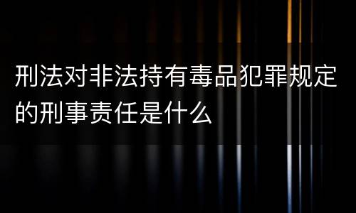 刑法对非法持有毒品犯罪规定的刑事责任是什么