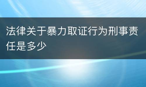 法律关于暴力取证行为刑事责任是多少