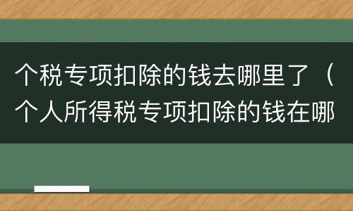 个税专项扣除的钱去哪里了（个人所得税专项扣除的钱在哪里）