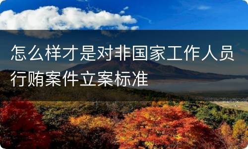 怎么样才是对非国家工作人员行贿案件立案标准