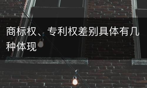商标权、专利权差别具体有几种体现