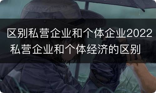区别私营企业和个体企业2022 私营企业和个体经济的区别