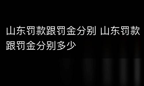 山东罚款跟罚金分别 山东罚款跟罚金分别多少