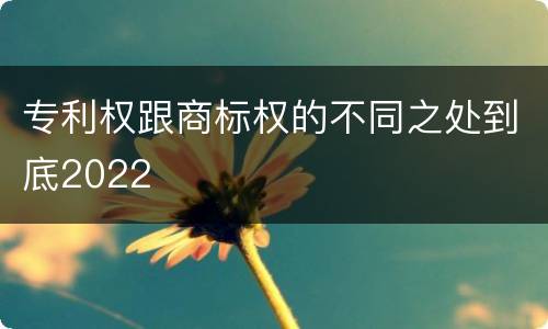 专利权跟商标权的不同之处到底2022