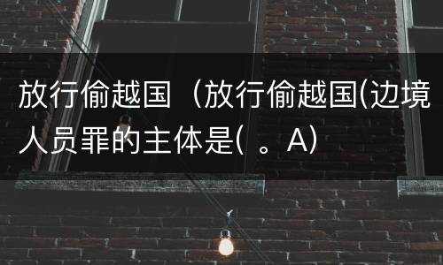 放行偷越国（放行偷越国(边境人员罪的主体是( 。A）