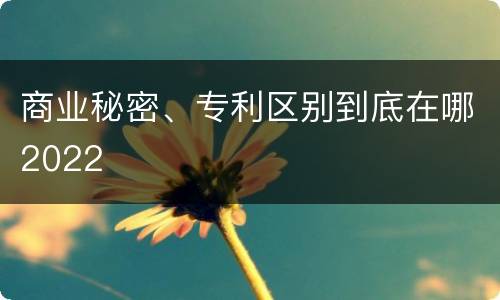 商业秘密、专利区别到底在哪2022
