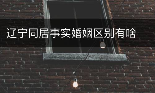 辽宁同居事实婚姻区别有啥