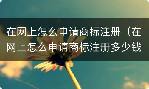 在网上怎么申请商标注册（在网上怎么申请商标注册多少钱）