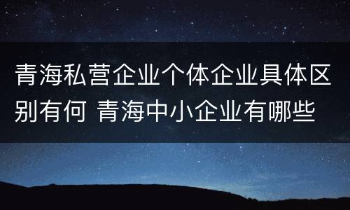 青海私营企业个体企业具体区别有何 青海中小企业有哪些