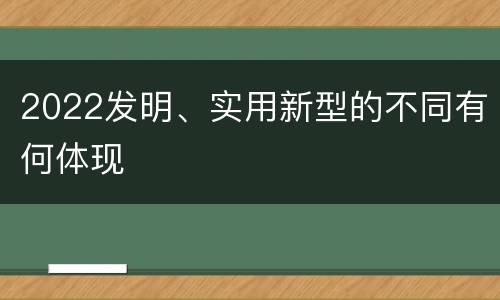 2022发明、实用新型的不同有何体现