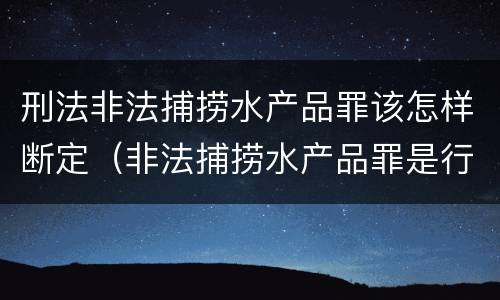刑法非法捕捞水产品罪该怎样断定（非法捕捞水产品罪是行为犯吗）