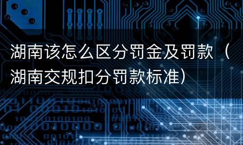 湖南该怎么区分罚金及罚款（湖南交规扣分罚款标准）