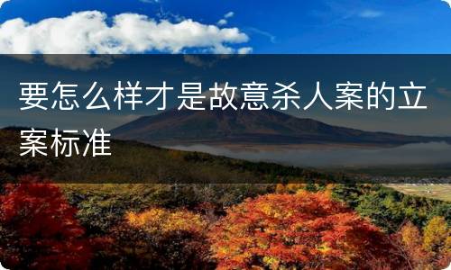 要怎么样才是故意杀人案的立案标准
