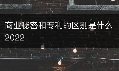 商业秘密和专利的区别是什么2022