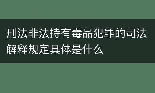 刑法非法持有毒品犯罪的司法解释规定具体是什么