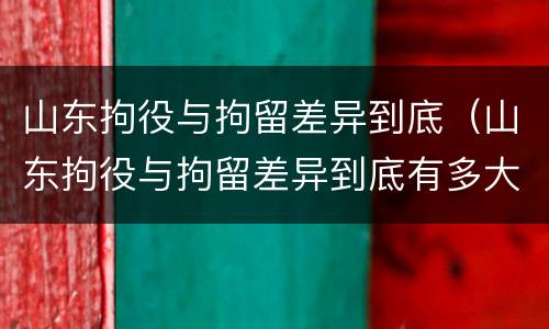 山东拘役与拘留差异到底（山东拘役与拘留差异到底有多大）