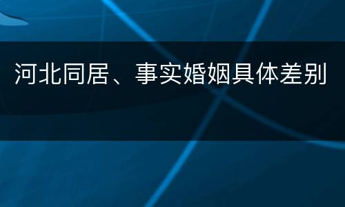 河北同居、事实婚姻具体差别