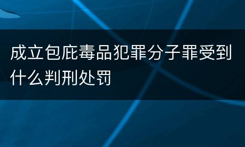成立包庇毒品犯罪分子罪受到什么判刑处罚